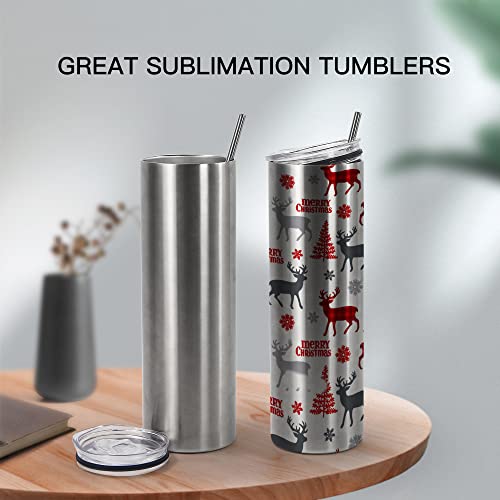 10 Pack 20oz Stainless Steel Vacuum Insulated Tumblers with Lid and Straw E687115