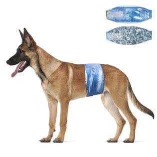 Male Disposable Dog Diapers 48 Count Y7596