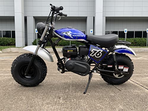196cc Mini Bike with Front and Rear Brakes L4111
