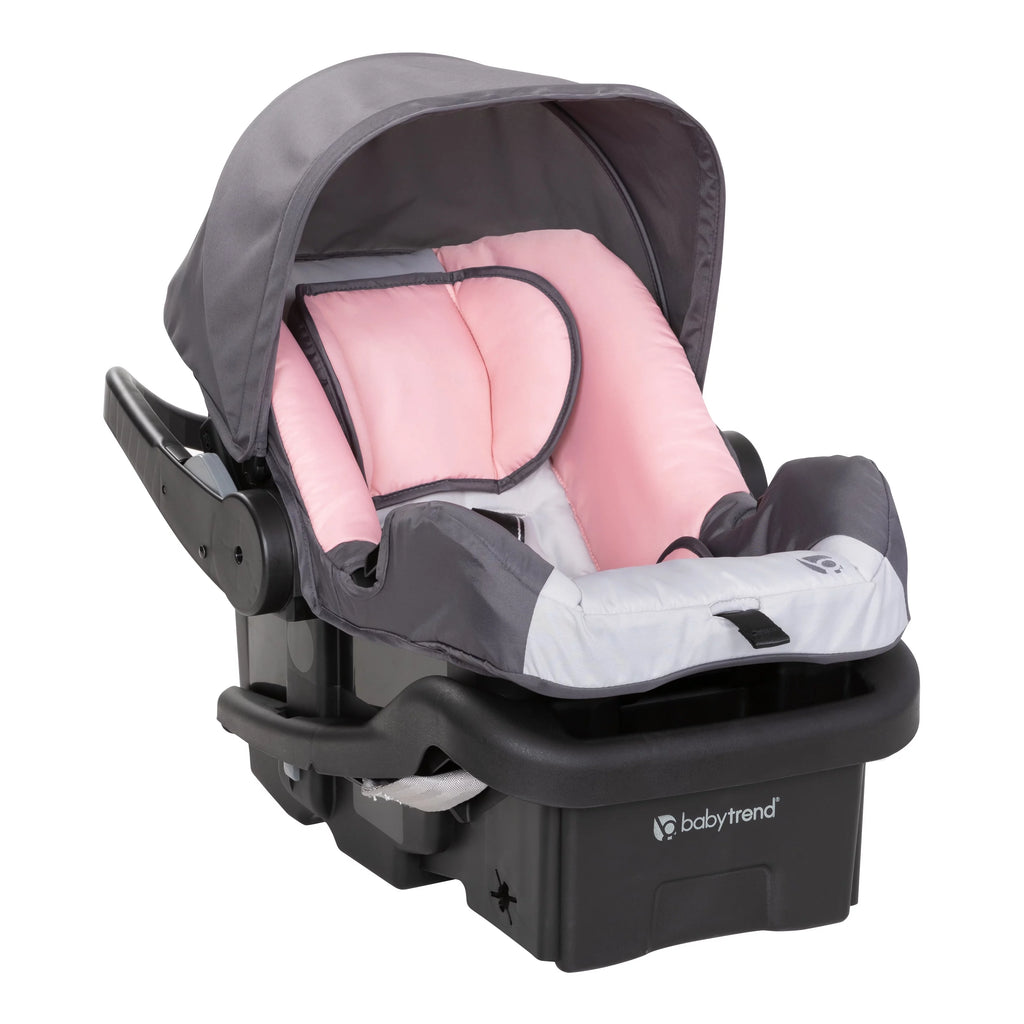 Pink Flamingo Travel System Stroller A6670