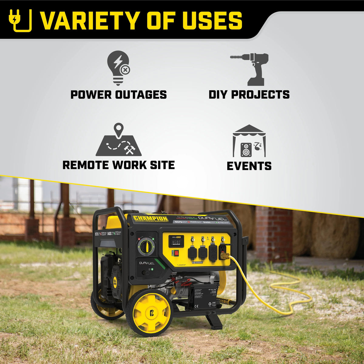 Dual Fuel Portable Generator with Electric Start B3793