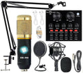 Podcast Equipment Bundle with Voice Changer Live Sound Card Audio Interface Pack of 2 L415