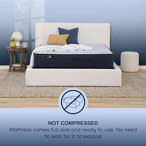 King Mattress with Plush Pillow Top, Cooling Gel Memory Foam, Pocket Innersprings D51841