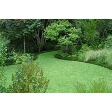 Kentucky 31 Tall Fescue Grass Seed - 20 lbs. U195247