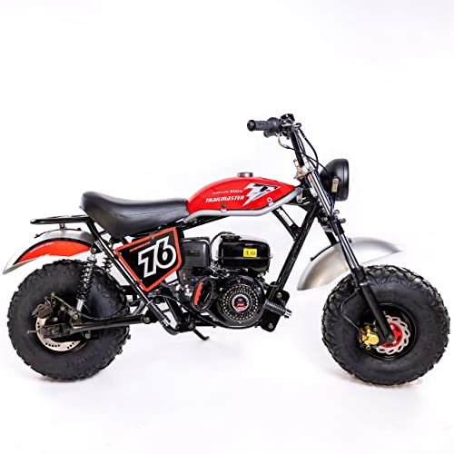 196cc Mini Bike with Front and Rear Brakes L4111