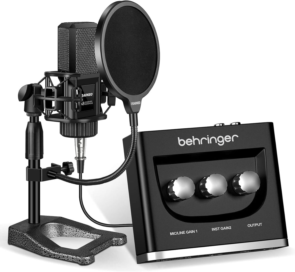 Computer Microphone with Shock Mount, Pop Filter, and XLR Cable N34820
