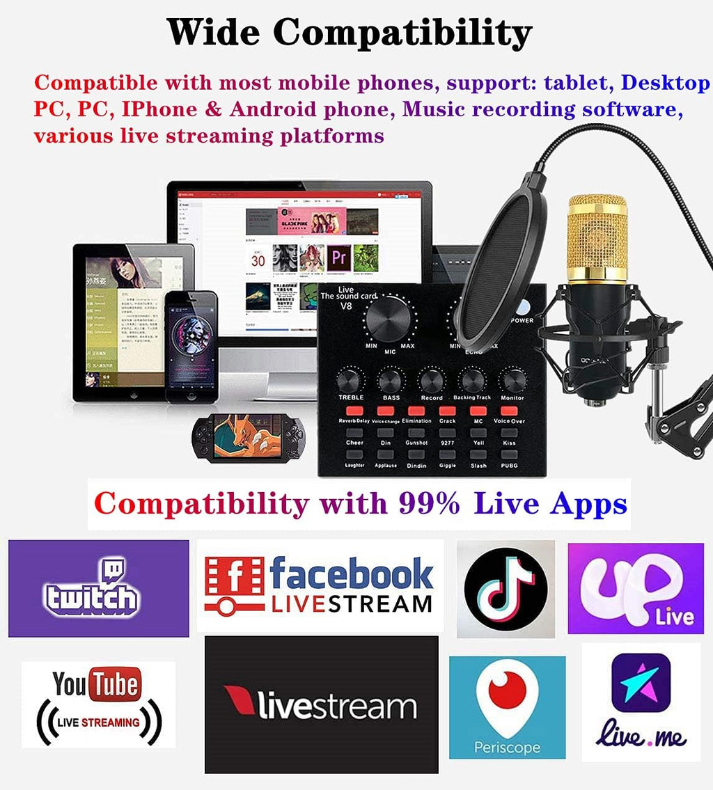Podcast Equipment Bundle with Voice Changer Live Sound Card Audio Interface Pack of 2 L415