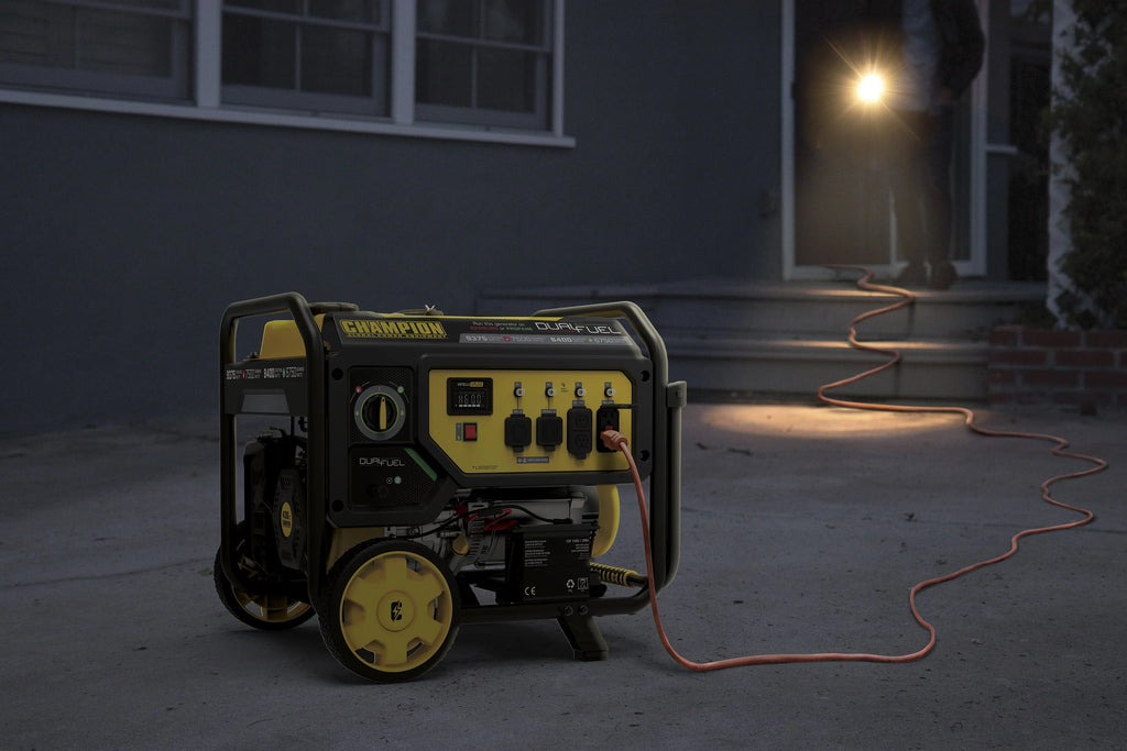 Dual Fuel Portable Generator with Electric Start B3793