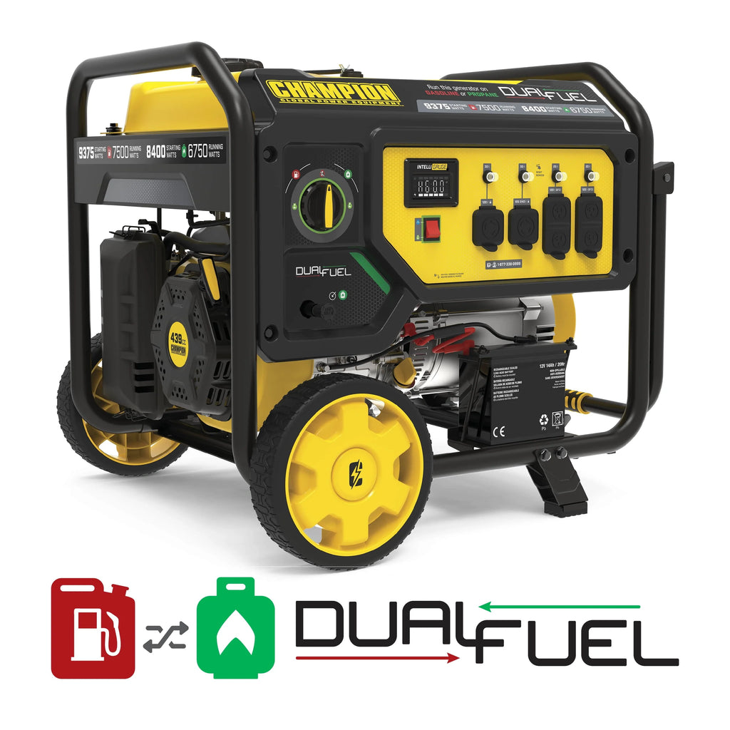 Dual Fuel Portable Generator with Electric Start B3793