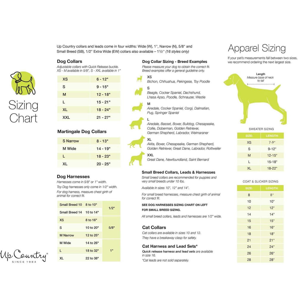 Strawberry Fields Dog Collar Q711