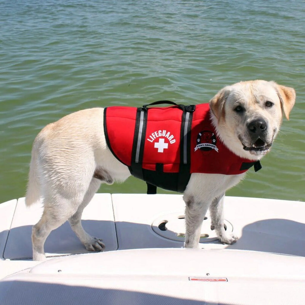 Red X-Small Neoprene Dog Life Jacket I194