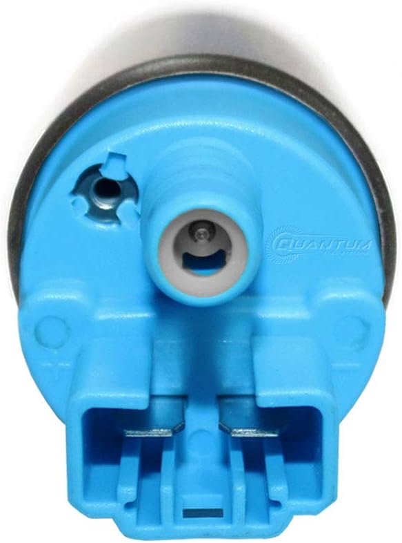 Fuel Pump with Strainer, Regulator and Tank Seal A256