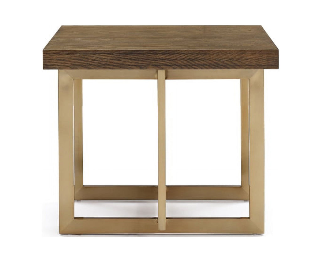 Modern Elm & Antique Brass End Table T292