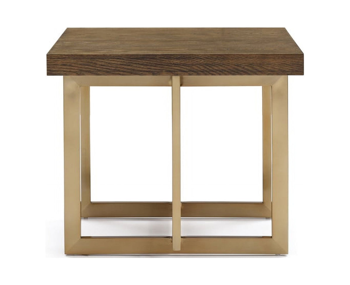 Modern Elm & Antique Brass End Table T292