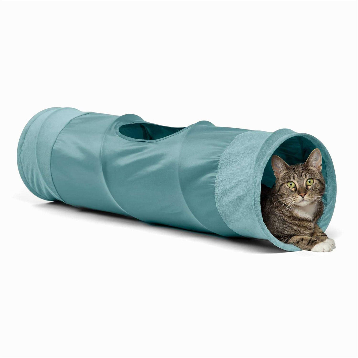 Cat Tunnel V285