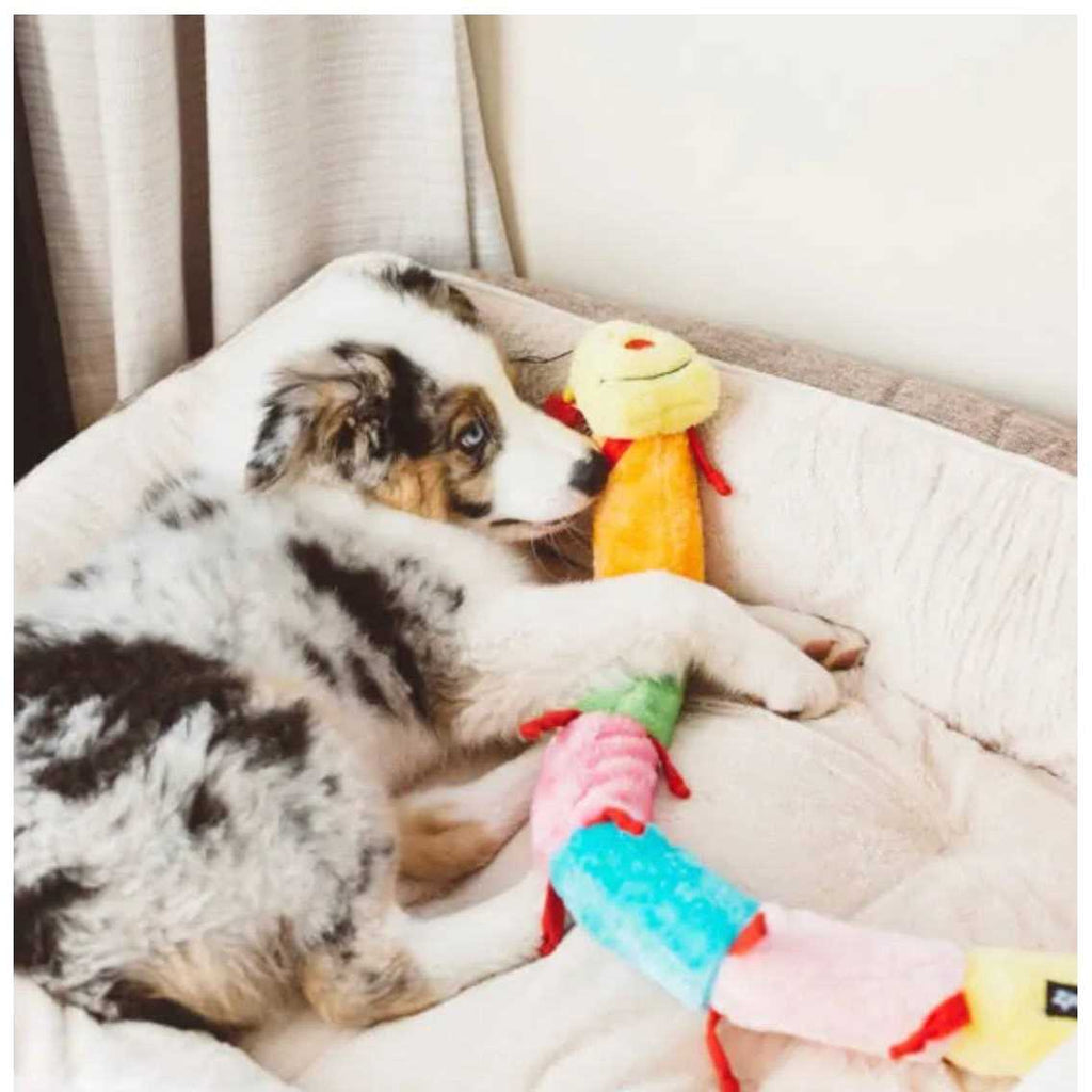 Caterpillar Dog Toy P978125