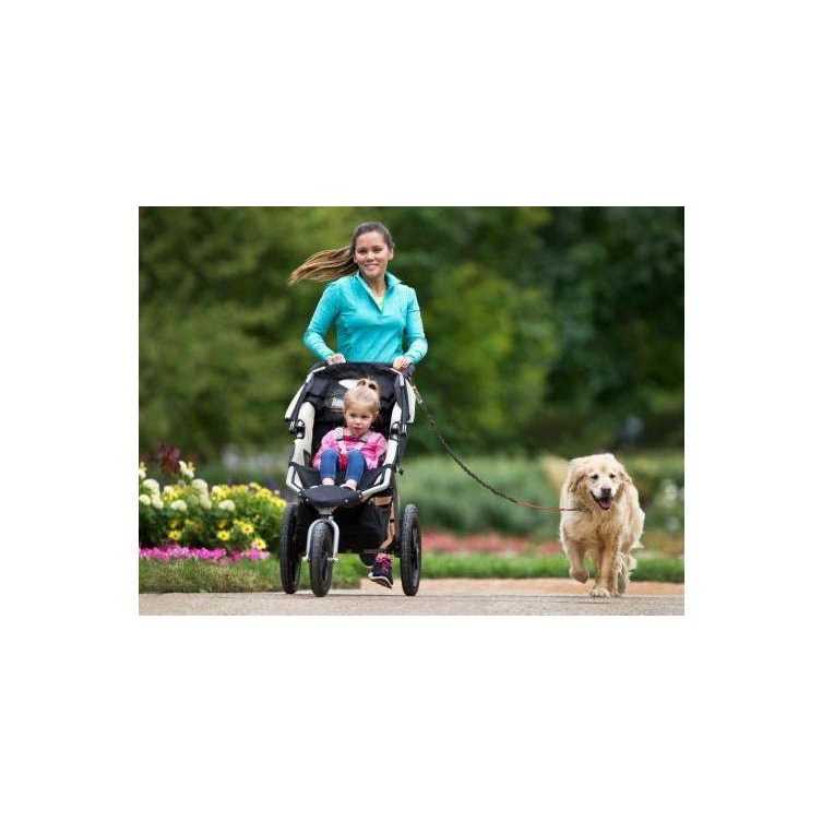Hands Free Bungee Dog Leash O580698