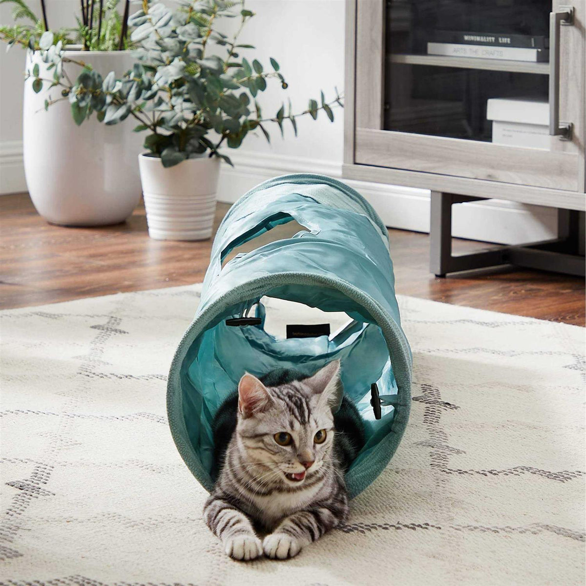 Cat Tunnel V285