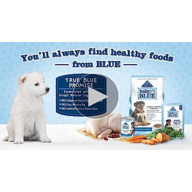 Chicken & Brown Rice Puppy Dry Food Y13086