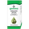 Ampelopsis veitchii 125 ml D32198