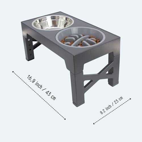 Elevated Slow Feeder Dog Bowls Set with 2 Stainless Steel & 1 No Spill Bowl J8978