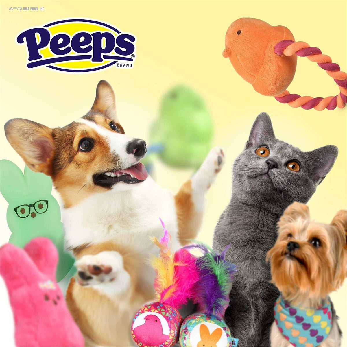 Dog Toy V38506