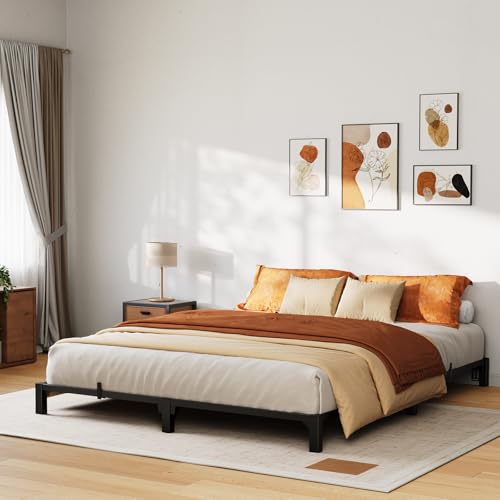10 Inch Full Tool-Free Metal Platform Bed Frame B420