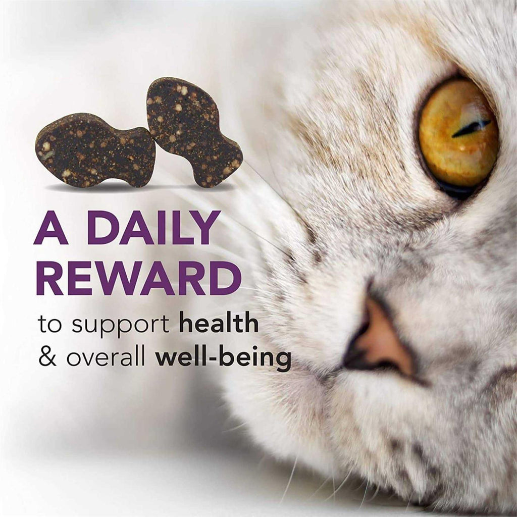 Pet Supplies P4577