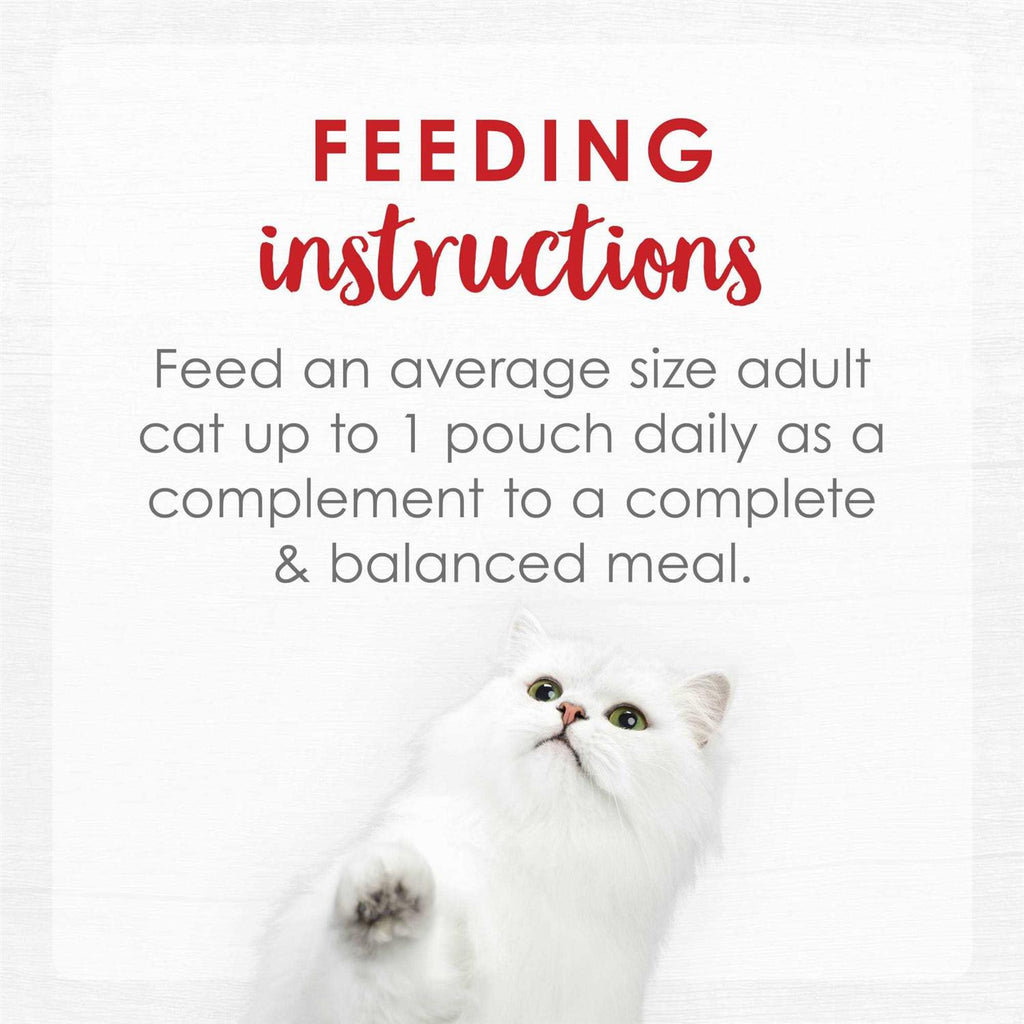 Creamy Wet Cat Food S7206