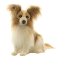 Plush Papillion Dog Z426