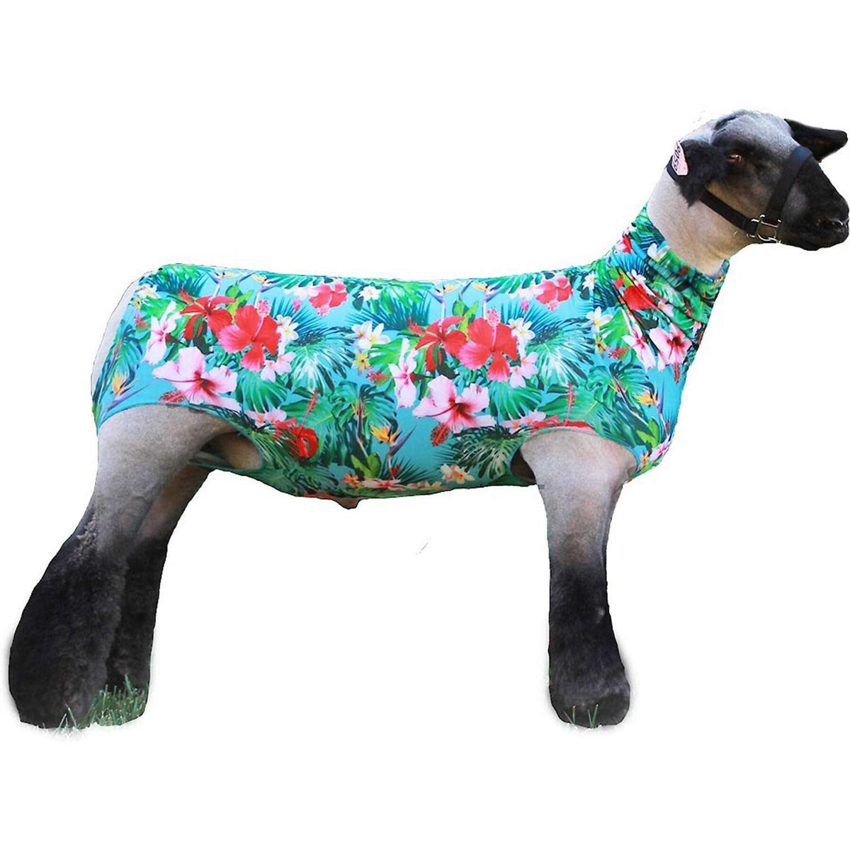 Spandex Lamb Tube E5611