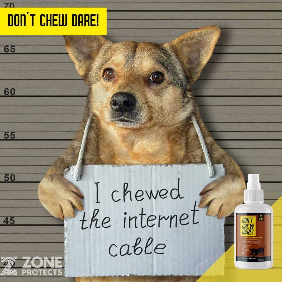Indoor Dog Chewing Prevention Spray H50851