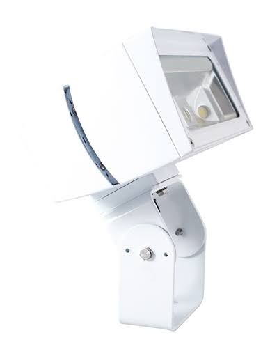 Neutral LED Trunnion Flood Light C821544