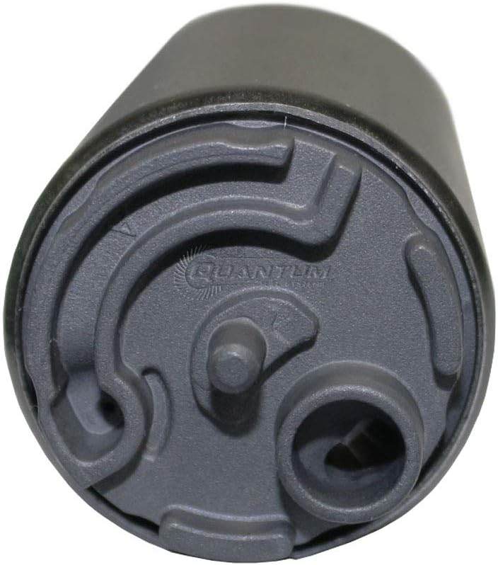 Fuel Pump with Strainer, Regulator and Tank Seal A256