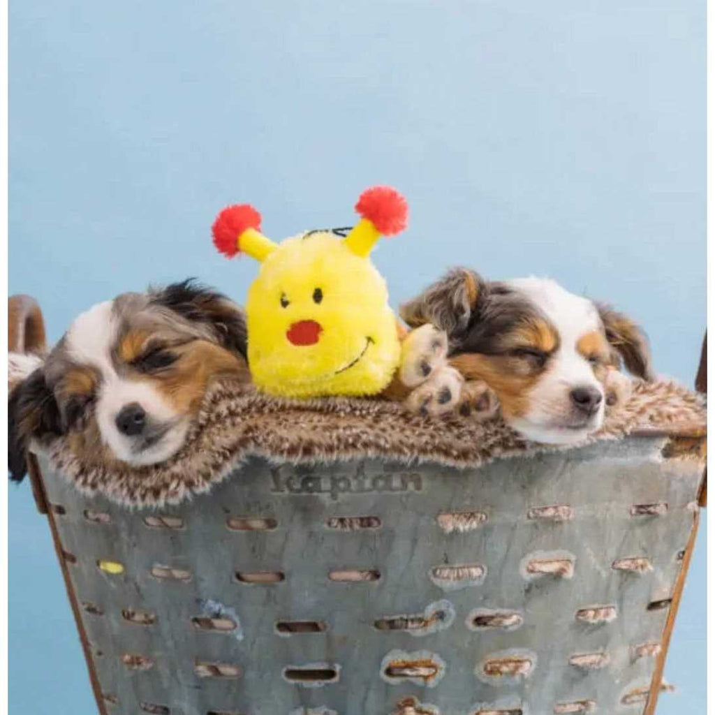 Caterpillar Dog Toy P978125