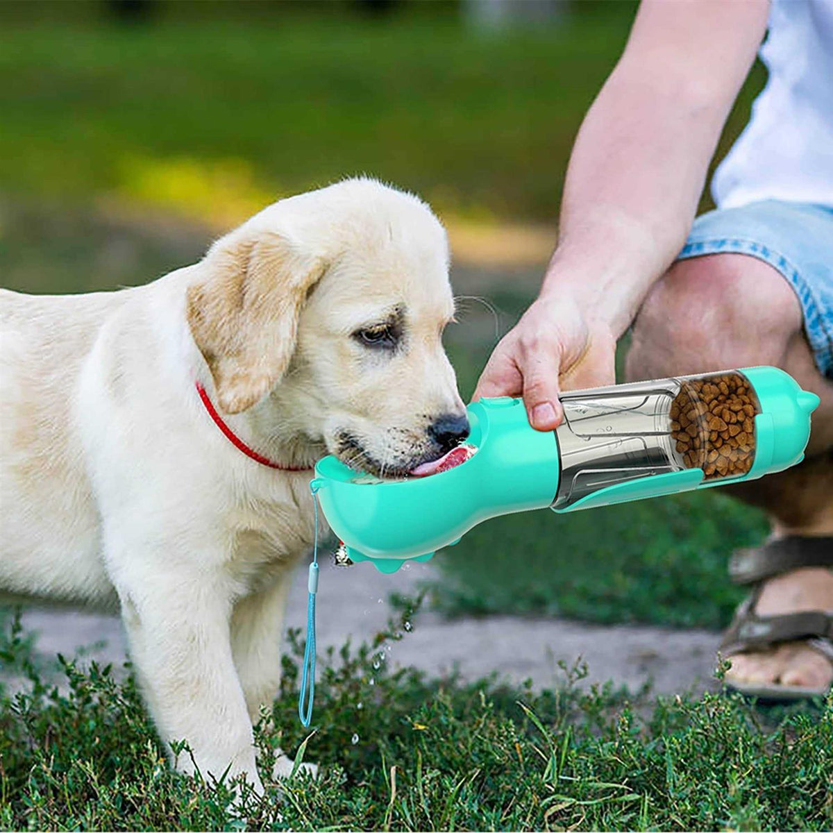 3 in 1 Dog Travel Bottle Set I62244