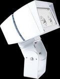 Neutral LED Trunnion Flood Light C821544