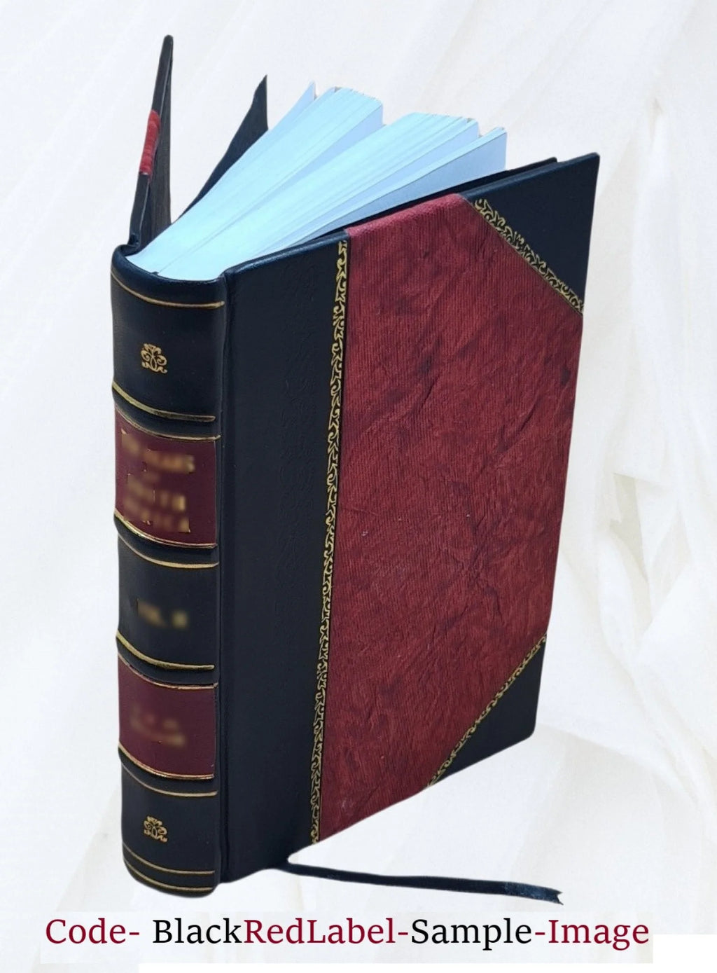 Histoire critique et militaire des guerres de la Revolution, Volume 13 W40809