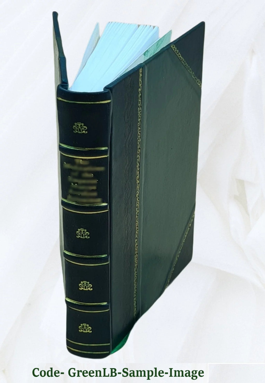 Leather Bound H641484