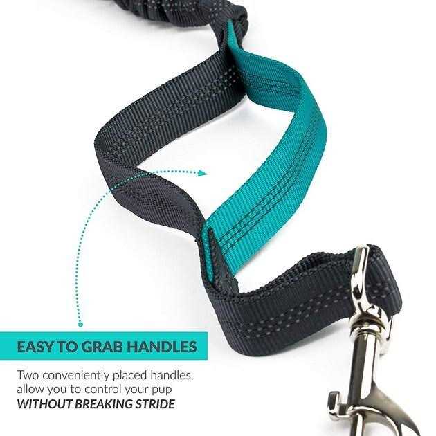 Hands Free Bungee Dog Leash O580698